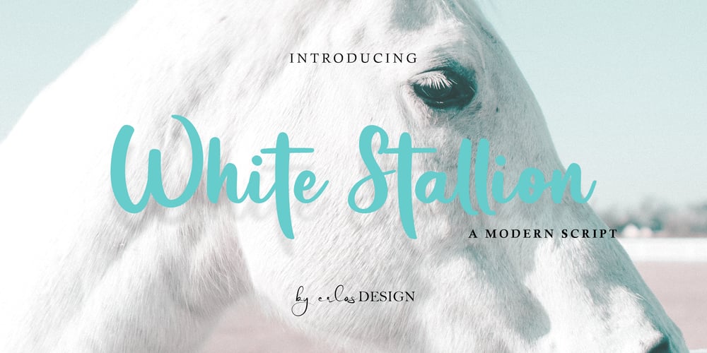 White Stallion font