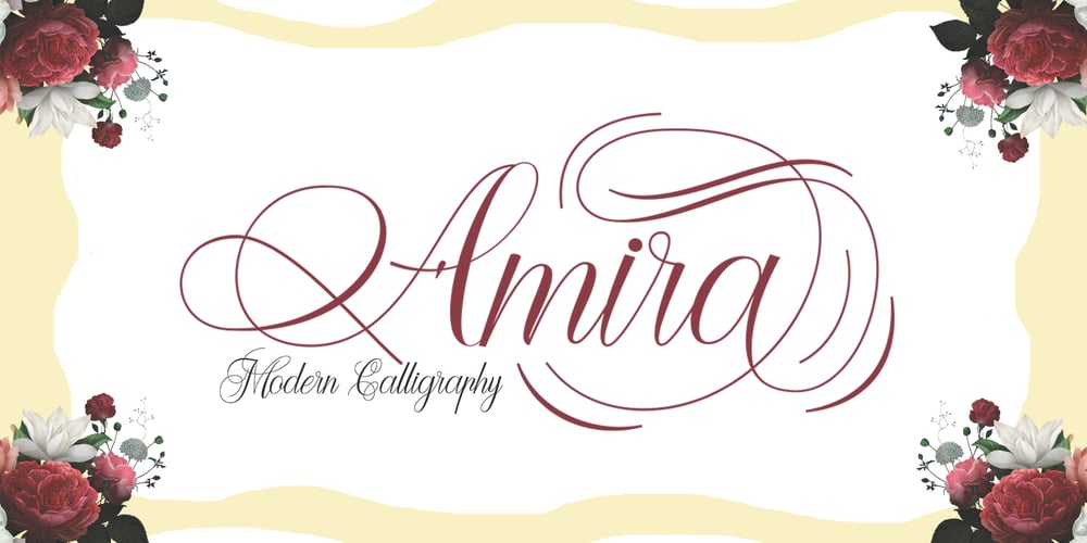 Amira font