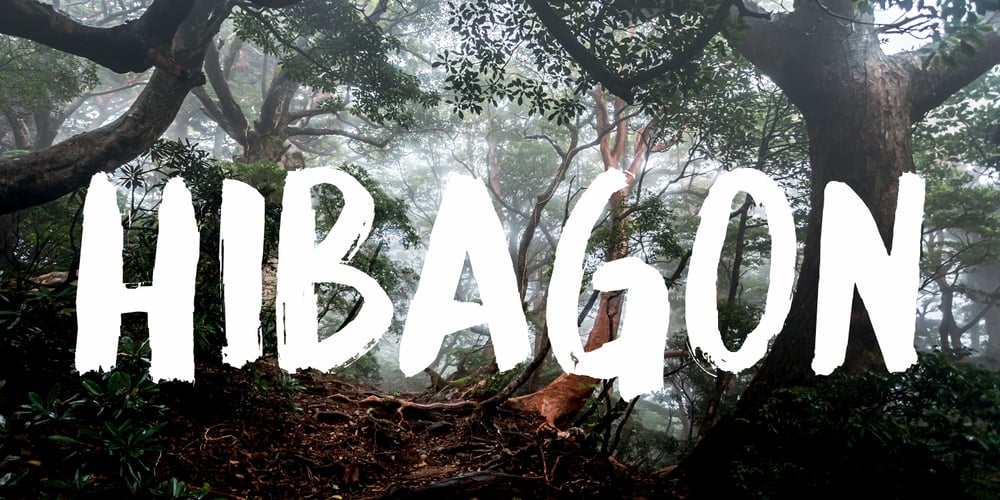 Hibagon font