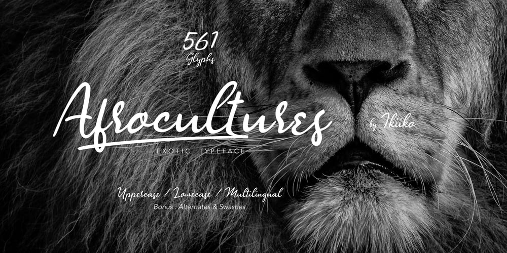 Afrocultures font