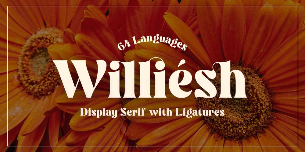 Williesh font