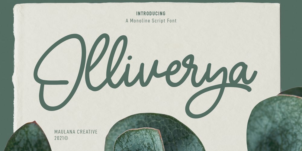 Olliverya font