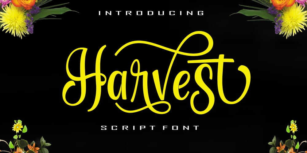 Harvest Script font