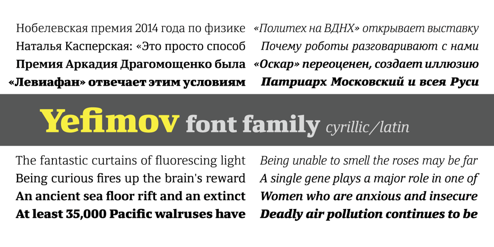 Yefimov Serif font