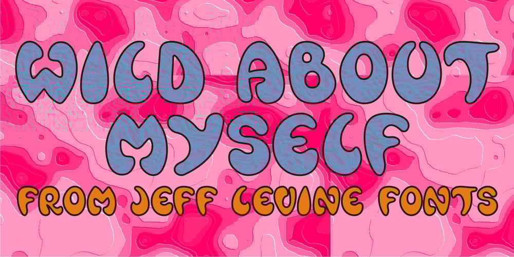 Wild About Myself JNL font