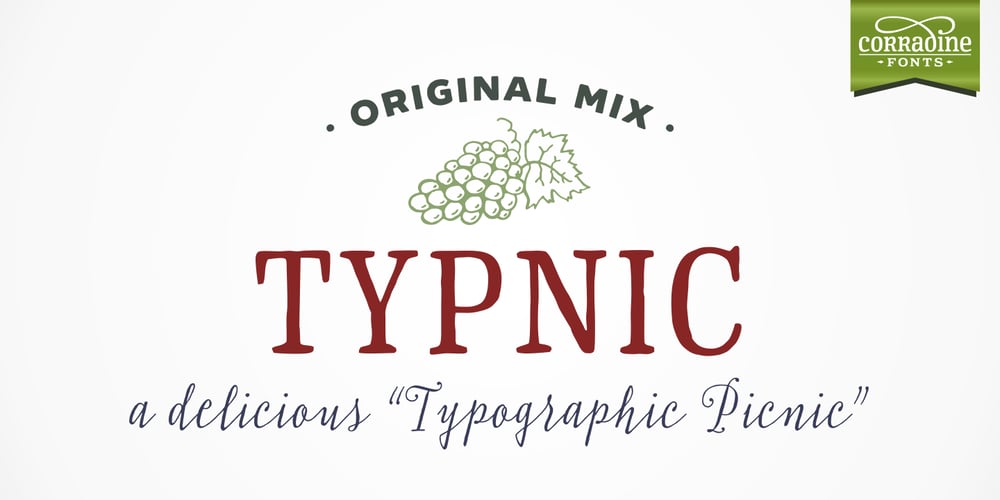 Typnic font