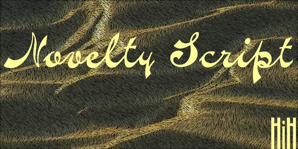 Novelty Script font