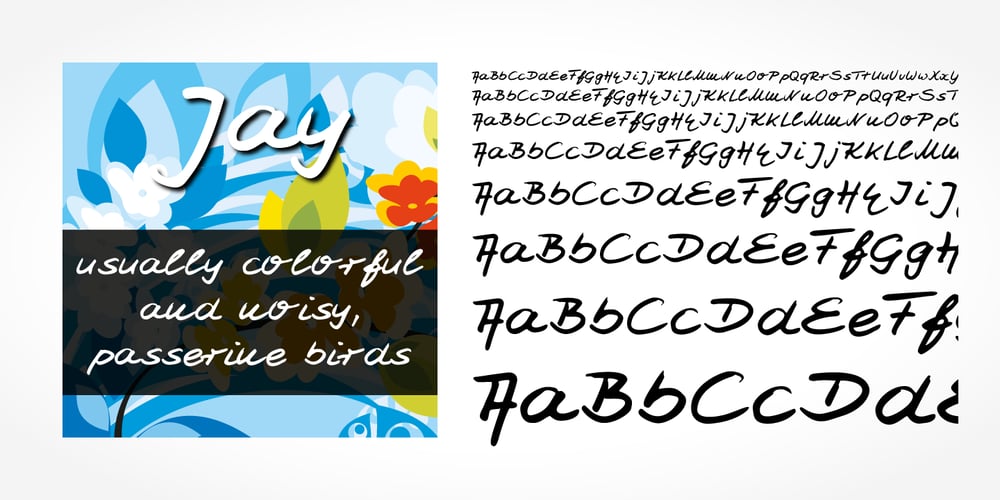 Jay Handwriting Pro font