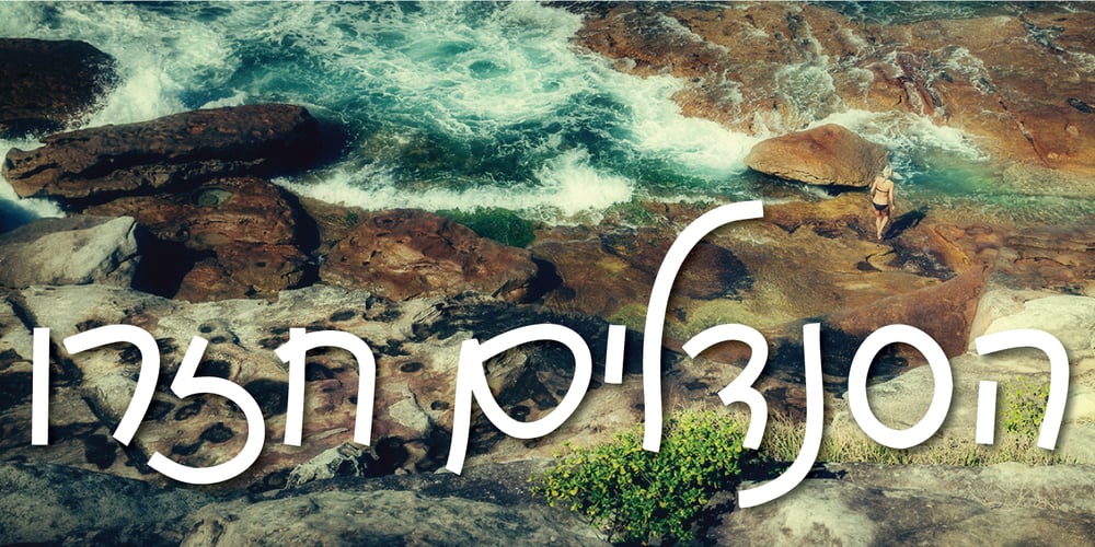 Grapholog MF font