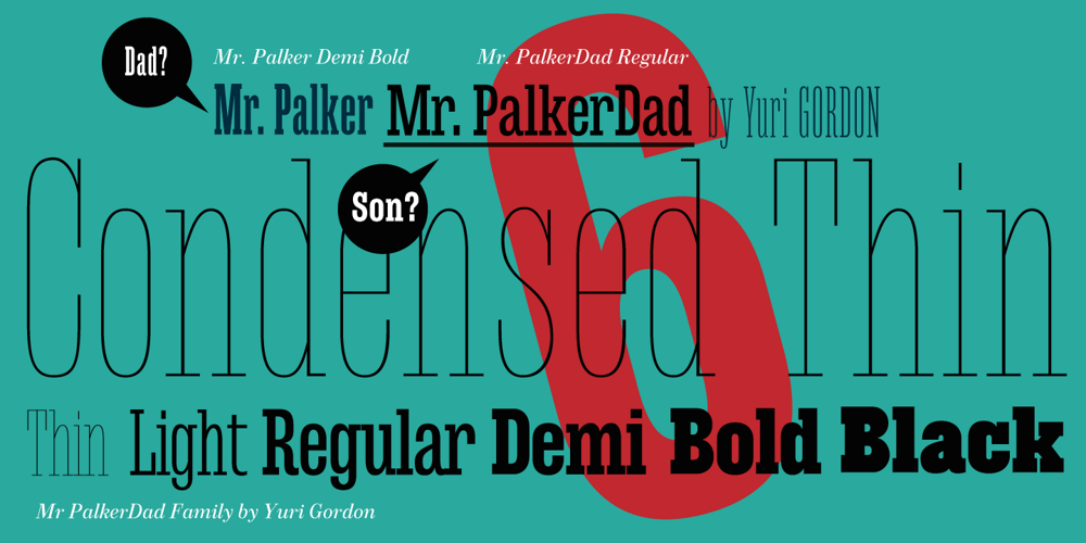 Mr Palker Dad font