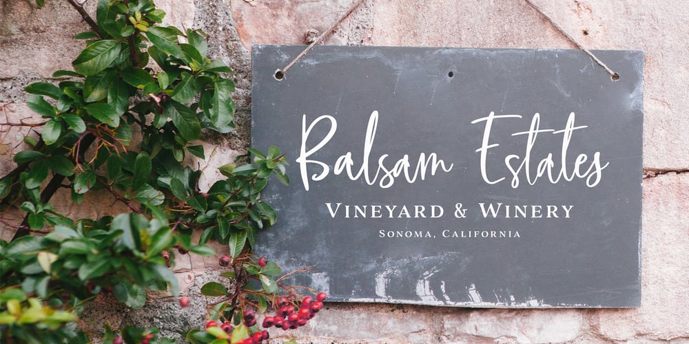 Blush And Bloom font