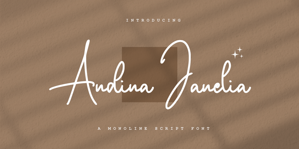 Andina Janelia font