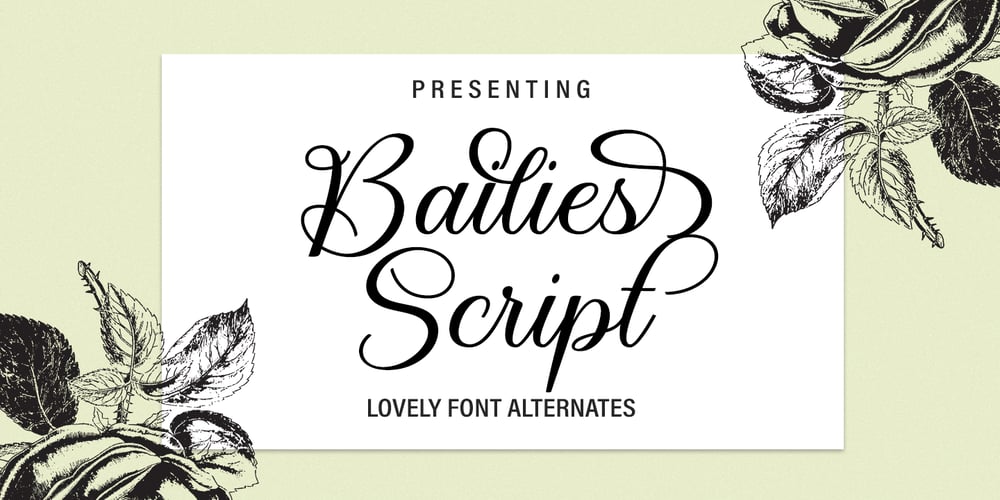 Bailies Script font