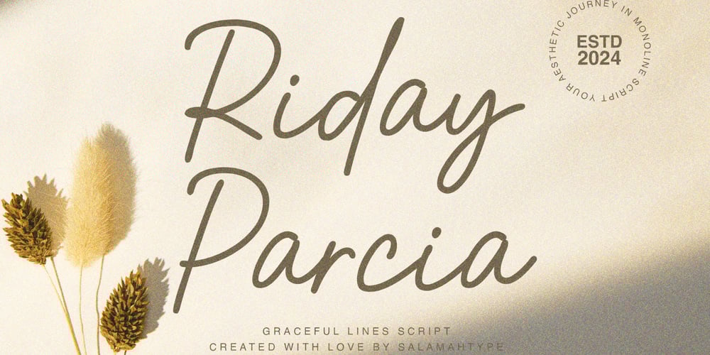 Riday Parcia font