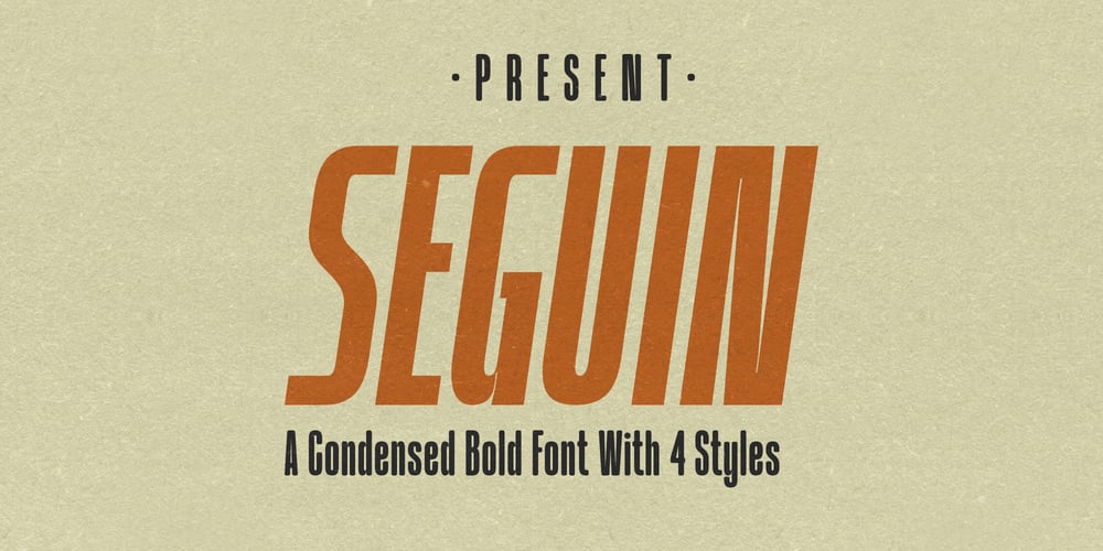 Seguin Pro font