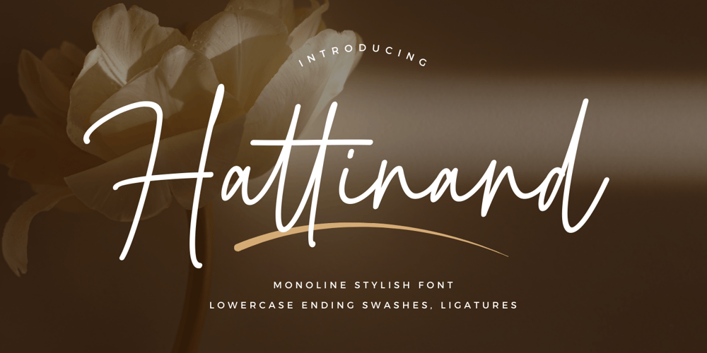 Hattinand font