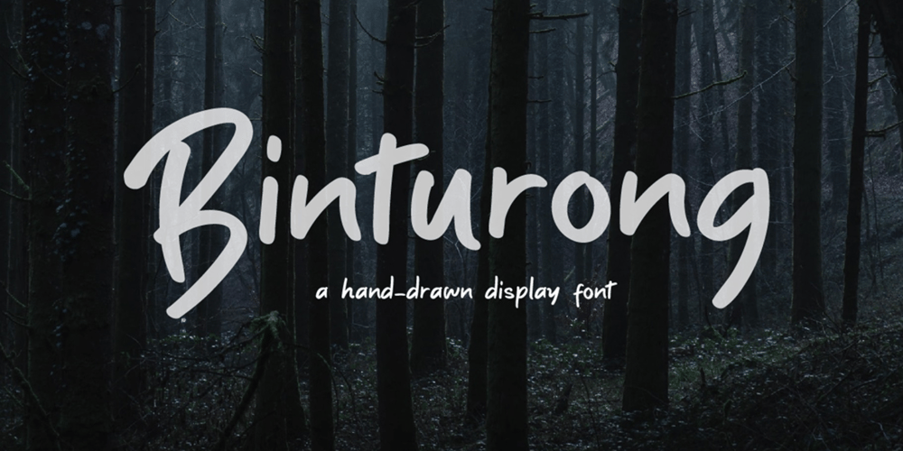 Binturong font