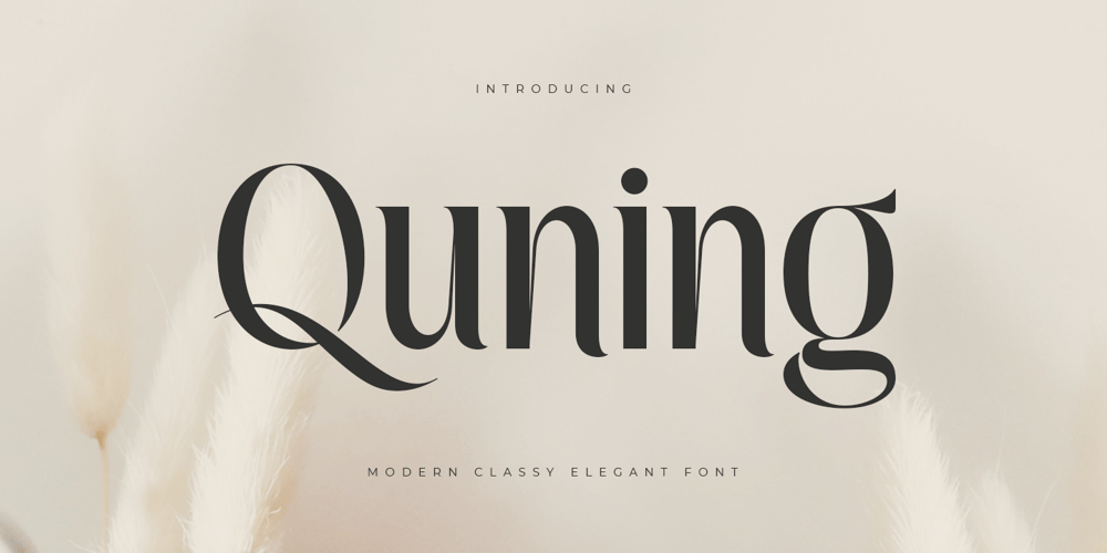 Quning font
