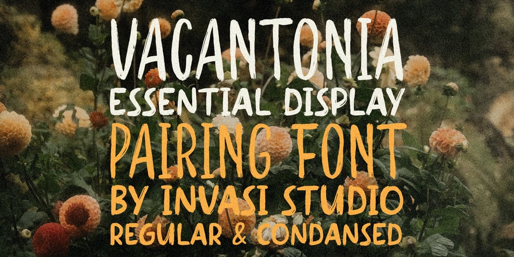 Vacantonia font