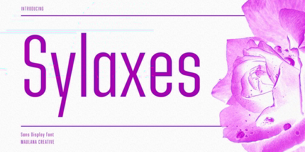 Sylaxes font