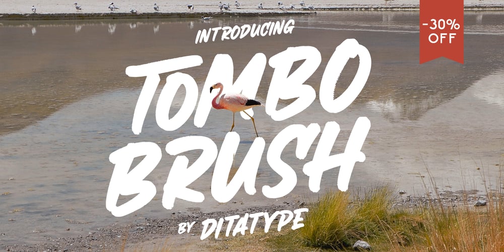 Tombo Brush font