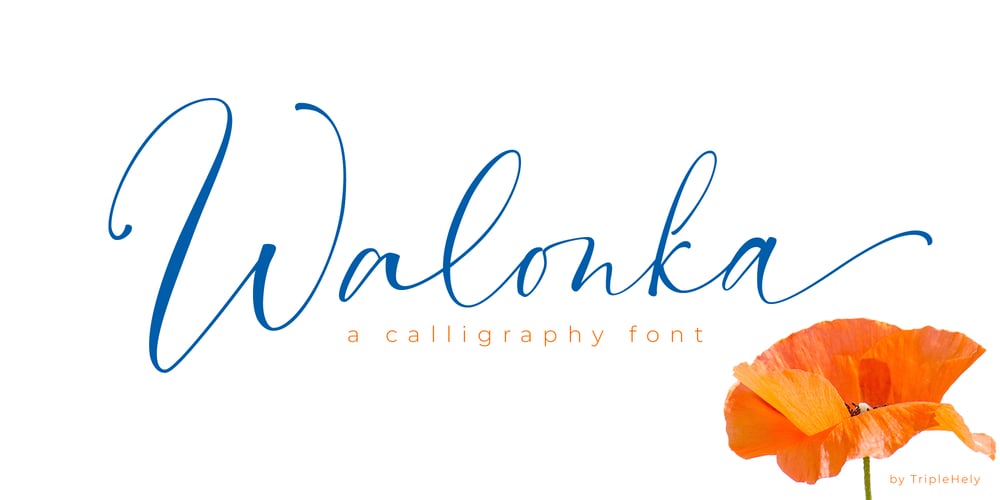 Walonka font