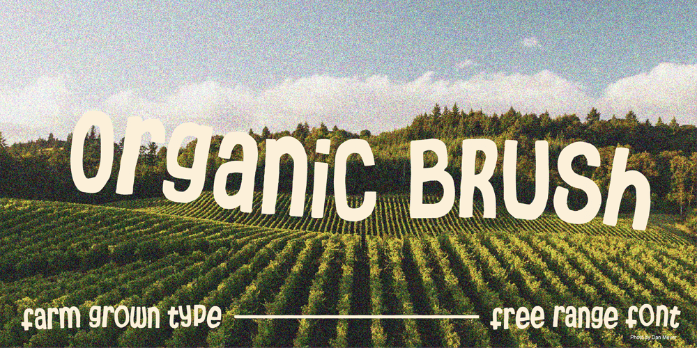 Organic Brush font