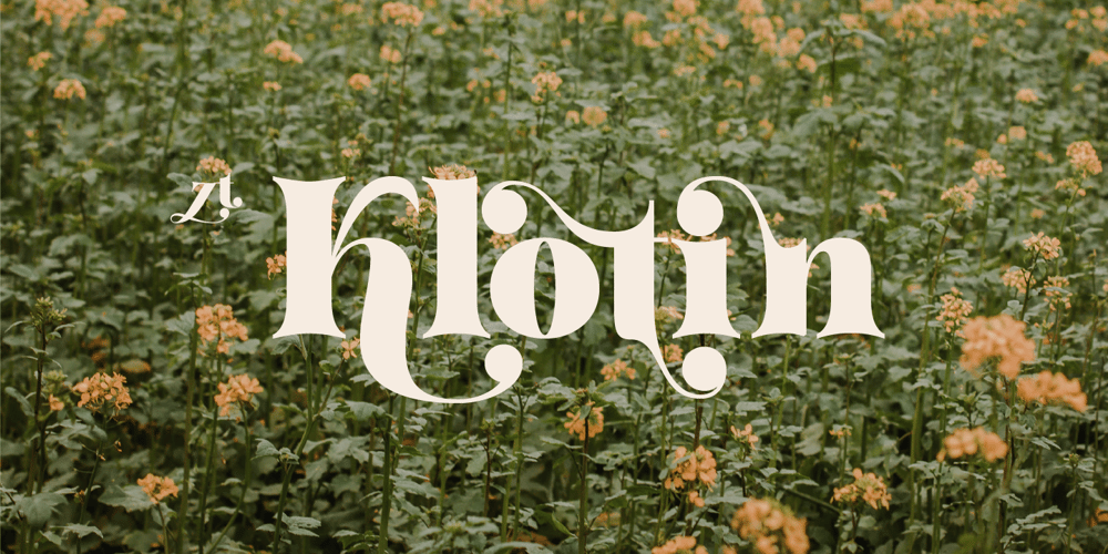 ZT Klotin font