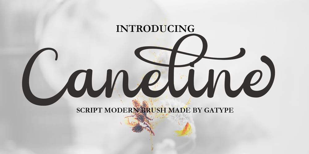 Caneline font