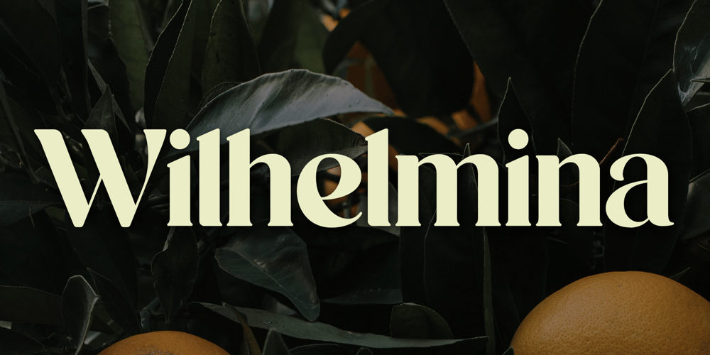 Wilhelmina font