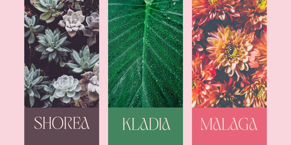 Jaella font