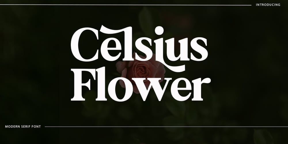 Celsius Flower font