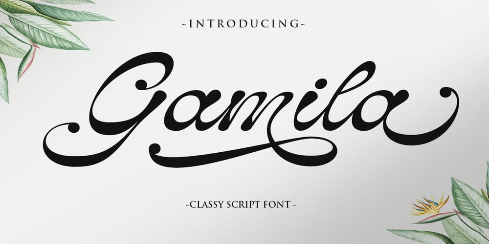 Gamila font
