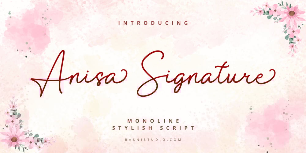 Anisa Signature font