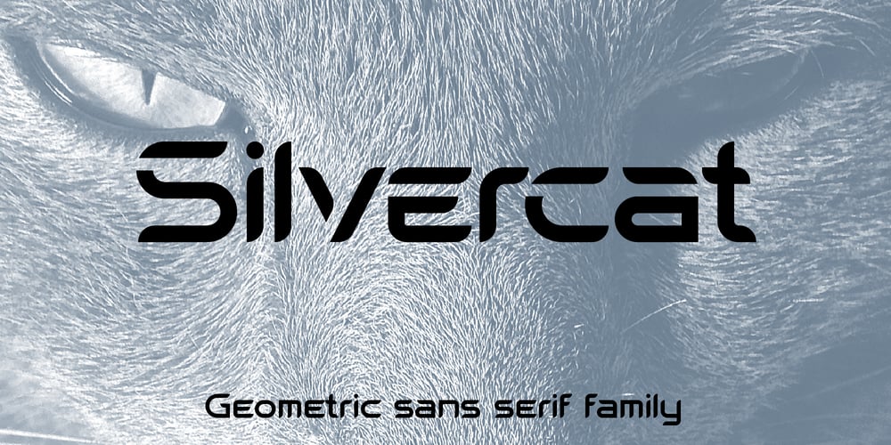 Silvercat font