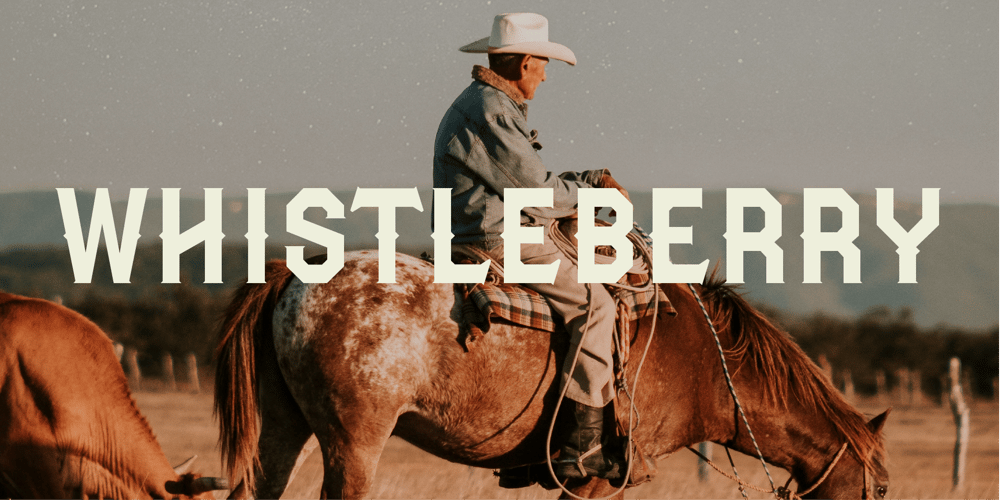 Whistleberry font
