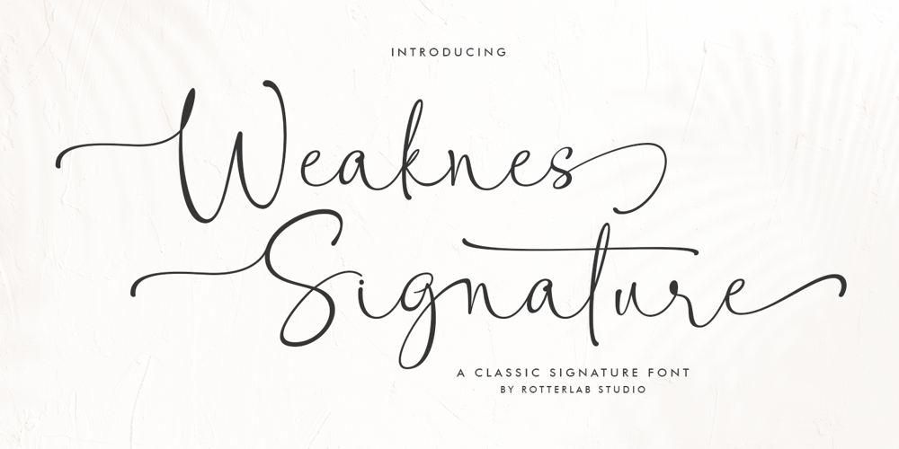 Weaknes Signature font