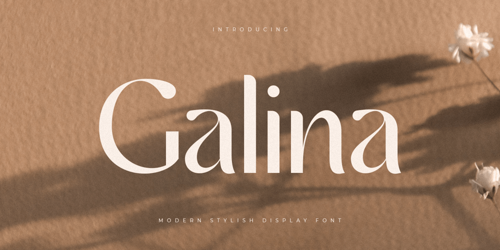 Galina font
