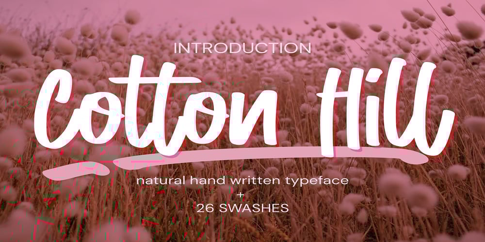 Cotton Hill font