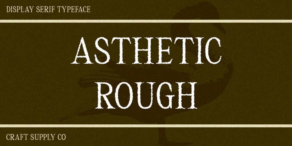 Asthetic Rough font
