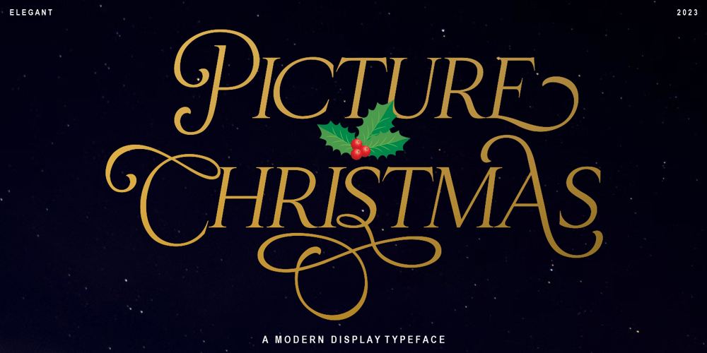 Christmas Picture font