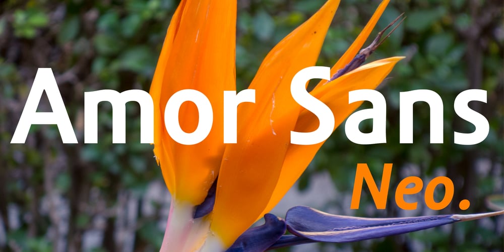 Amor Sans Neo font