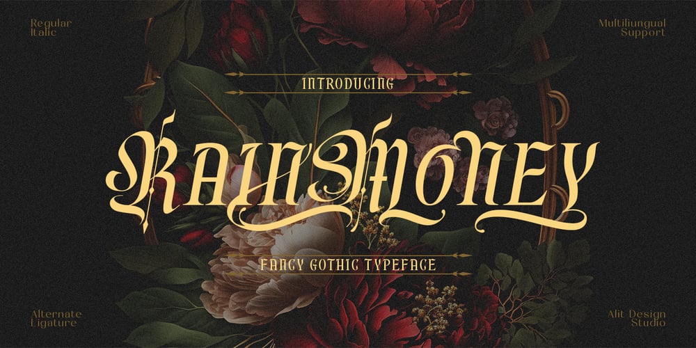 Rainmoney font