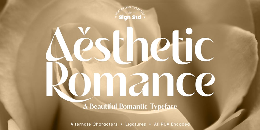 Aesthetic Romance font