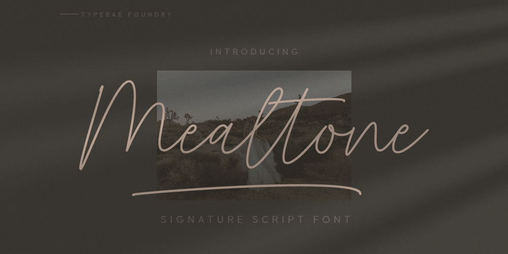 Mealtone font