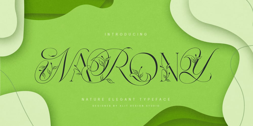 Narony font