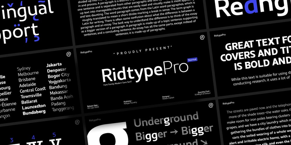 Ridtype Pro font