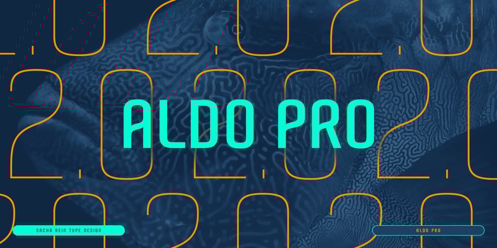 Aldo Pro font
