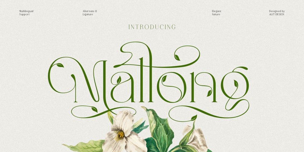 Mallong font