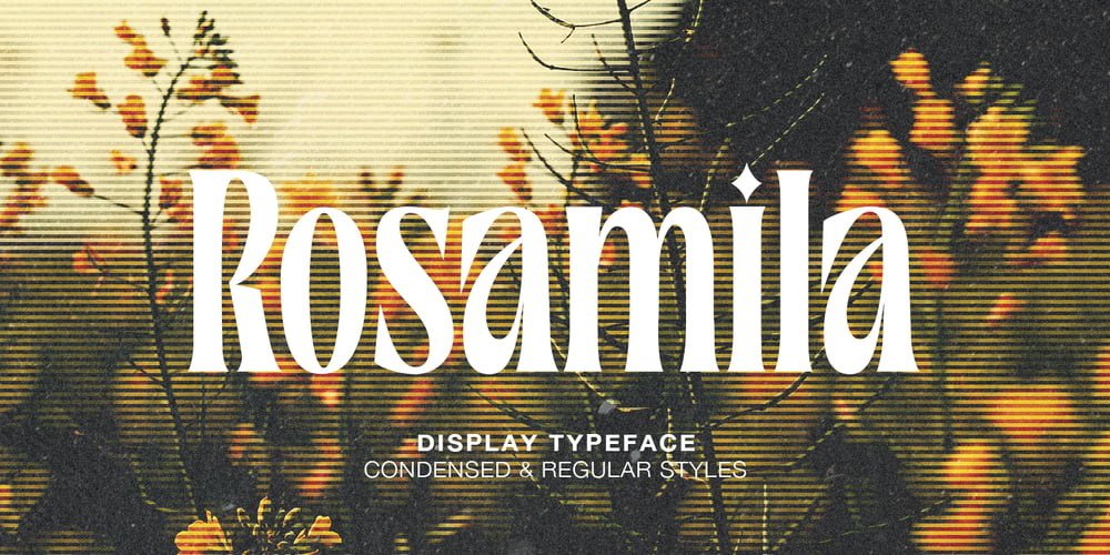 Rosamila font